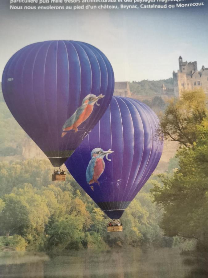 La Borie Du Bois Sarlat Panzió Saint-Andre-d'Allas Kültér fotó